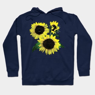 Three Sunflowers Hoodie